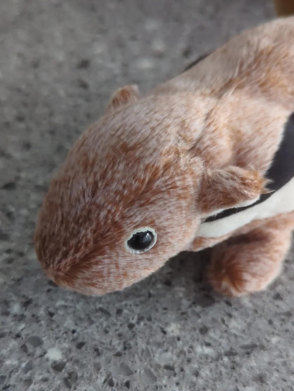 Ty Beanie Baby - Chipper